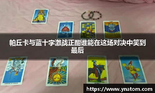 摩根娱乐