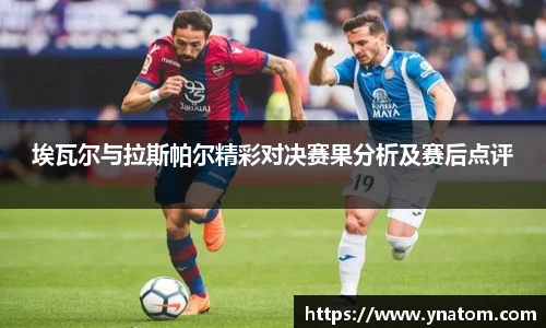 摩根娱乐APP